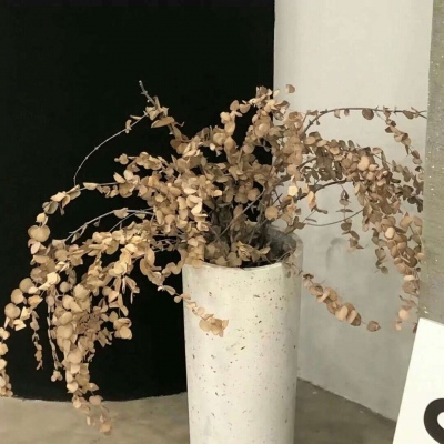 Furry绘画改稿思路福瑞群